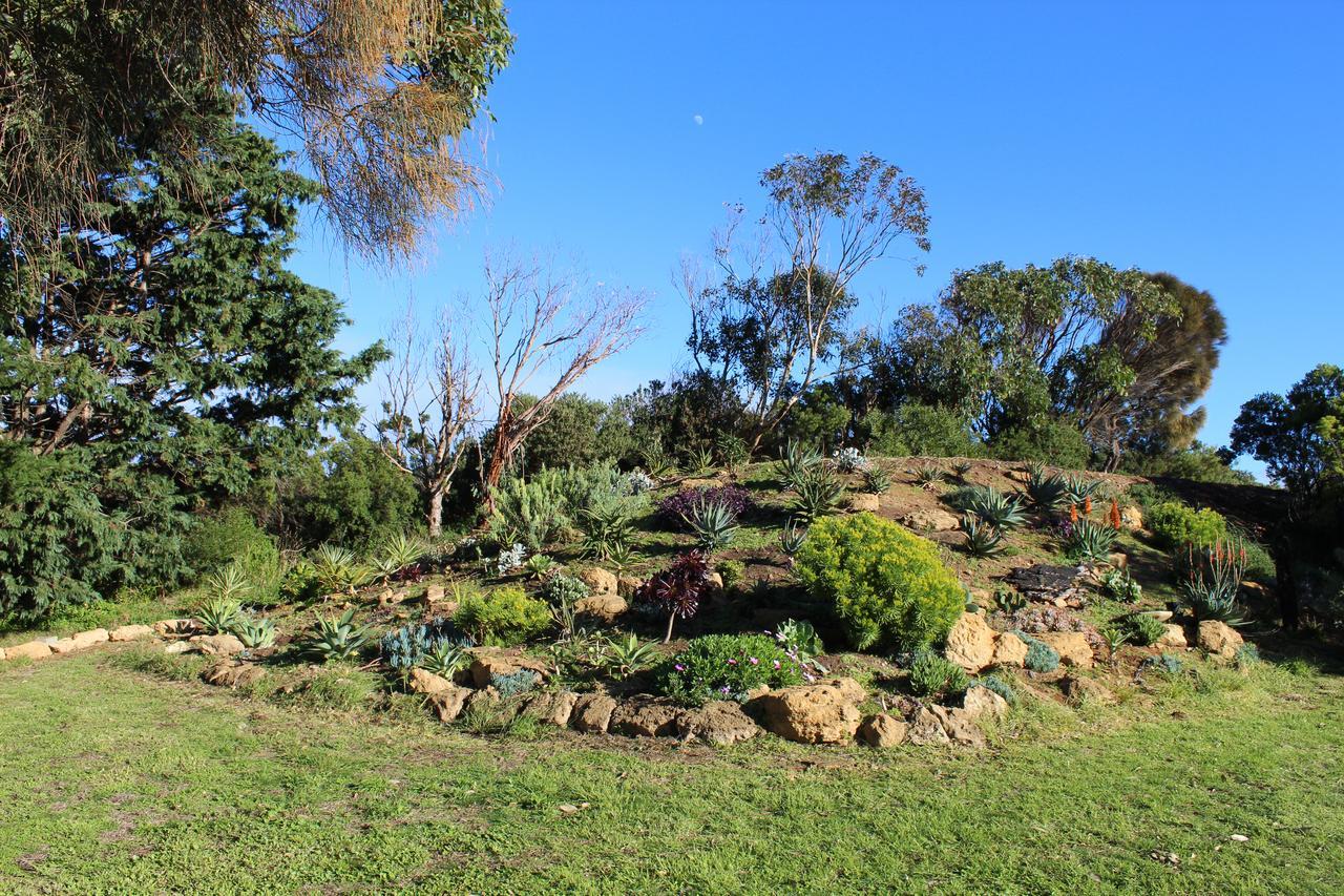 פורט קאמפבל Clifton Beach Lodge מראה חיצוני תמונה